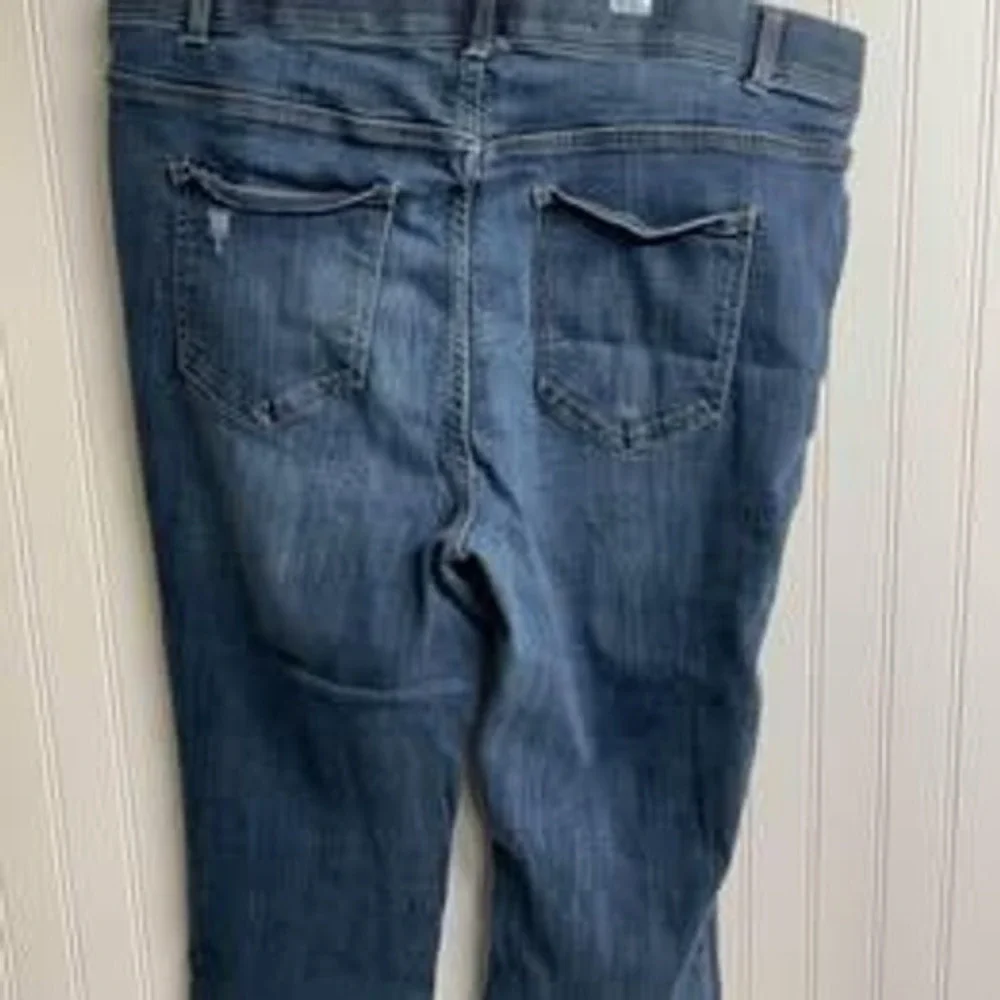 Terra & Sky Womens 1X 16W-18W Medium Wash Pull On Denim Jeggings Slim Fit